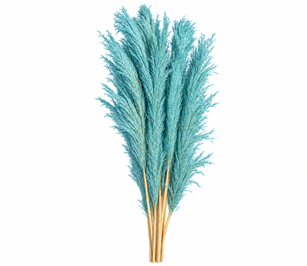 cd98df6b-a036-4fdf-8fad-ef77ab854fa7.png