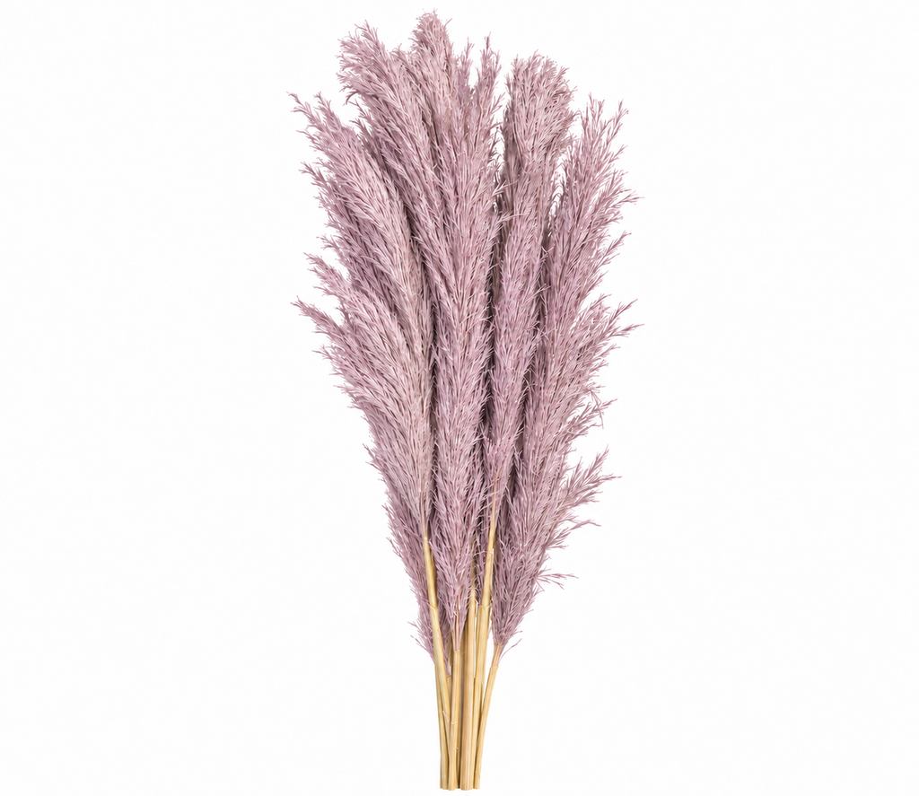b0b18b22-5977-4f30-a1f0-73a777bc5abd.png