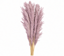 b0b18b22-5977-4f30-a1f0-73a777bc5abd.png