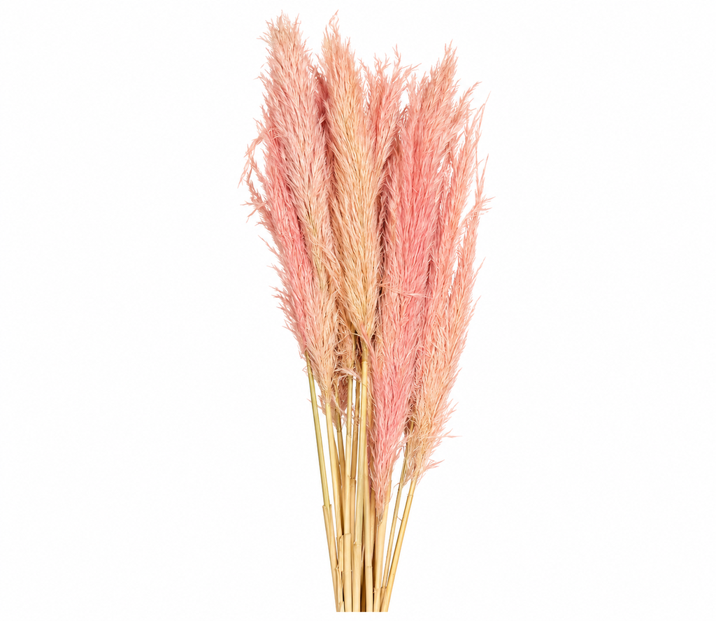 3dc210dd-3d5c-4317-9860-eb642b2a52a2.png