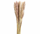 864953e8-676e-4309-a506-668787edf79d.png