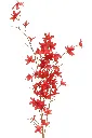 Im8949864ujiuygyuguygage.webp