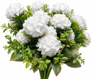dfa77a77-971a-4aaf-b3e7-e7f48c679152.png