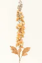Imag56848mhoihuighye.webp