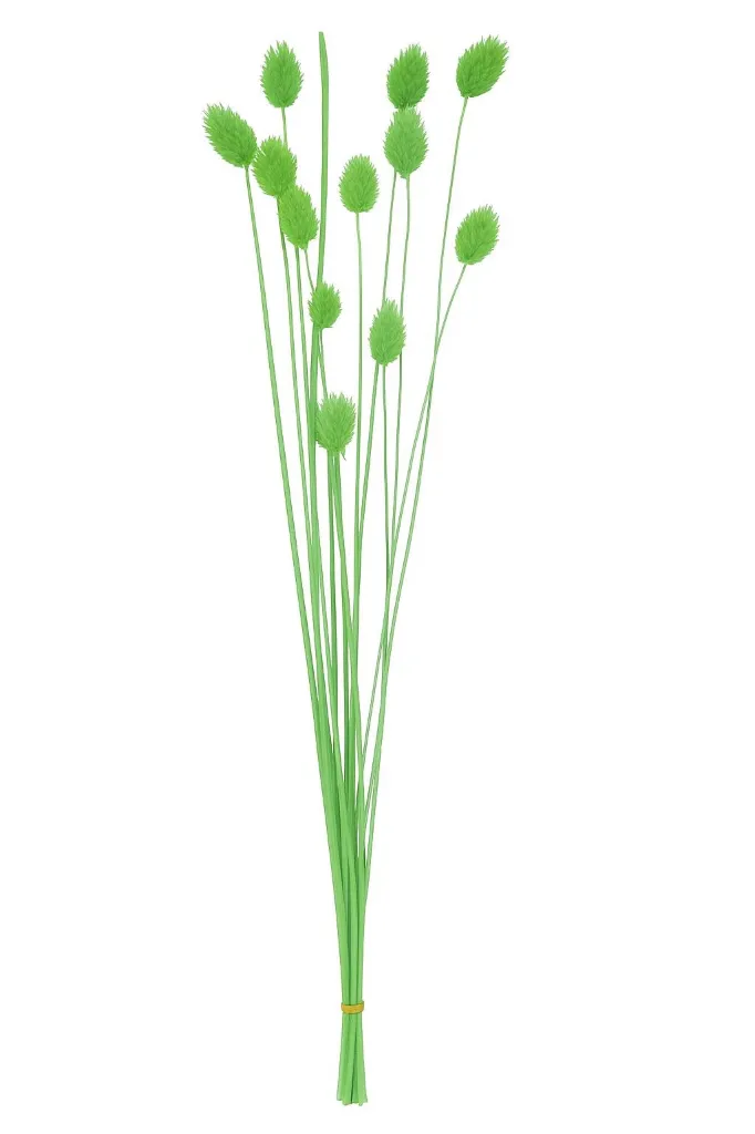 Imafliodiogdsge.webp