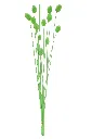 Imafliodiogdsge.webp