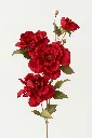 Imags;d'alpfsalfsae.webp