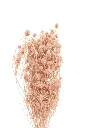 Imagad4s8s7f89sa7f896saasdse.webp