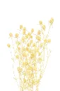 Ima4687f9+sd7gs6ddssdgfge.webp