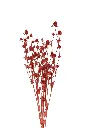 Imagdad89s7d98sf7afsadsaddse.webp
