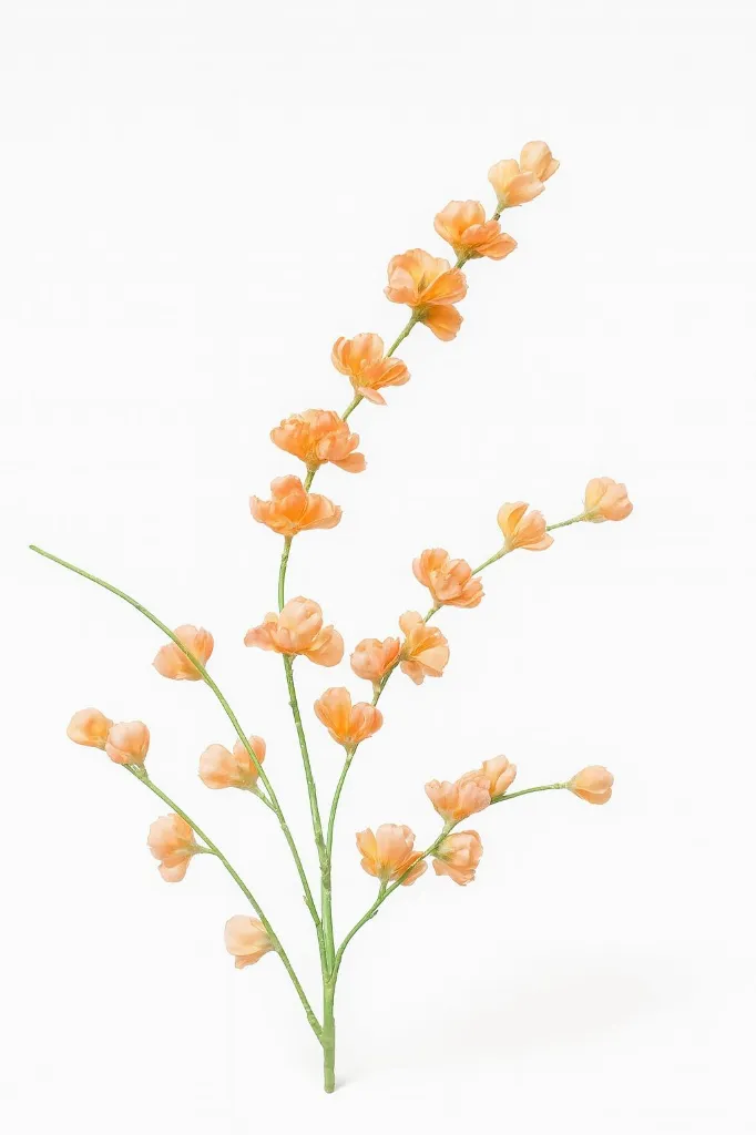 Imagda68s48489asfsjoijhfiose.webp