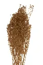 Imasdgh7hghfghgfhgge.webp