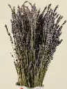 images (2).webp