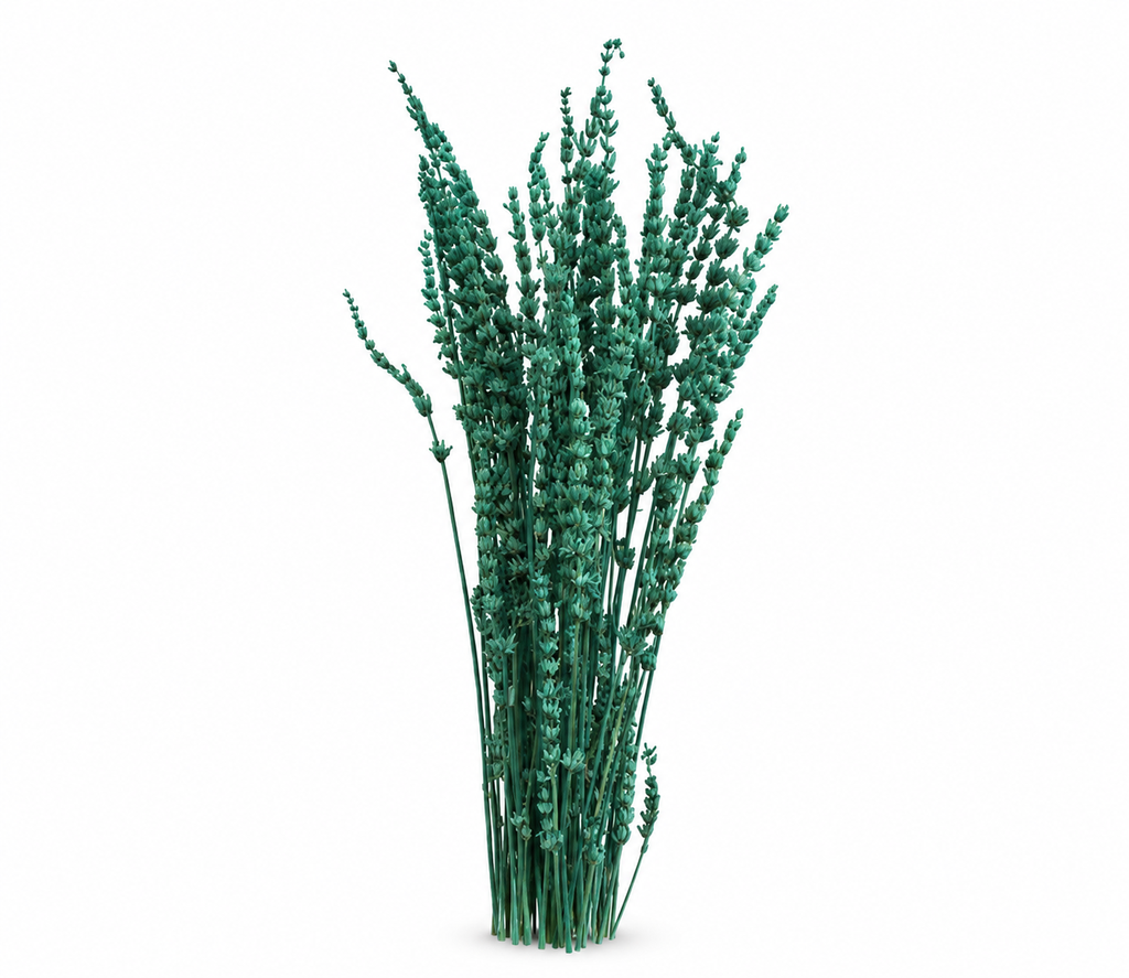 f3b61b3b-d06d-49b4-8d90-ba6908d6a4b9.png