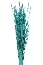 Imag4648joihiuguf8e.webp