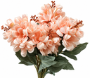 4375896f-47e6-4dc0-967b-53024e1aa363.png