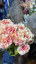 WhatsApp Image 2026-01-03 at 2.37.38 PM.webp