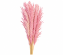 1cceb252-0102-49e7-ae22-3c887dd90e91.png