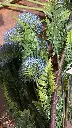 WhatsApp Image 2026-01-04 at 1.10.13 PM.webp