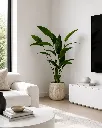 ChatGPT Image May 1, 2026, 08_21_44 PM.webp
