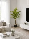 ChatGPT Image May 1, 2026, 09_31_00 PM.webp