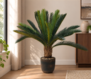 d7cd76f7-e682-4e63-824f-03e768a71275-resized (1).png