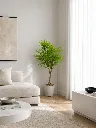 ChatGPT Image May 2, 2026, 10_36_02 AM.webp