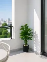 ChatGPT Image May 2, 2026, 12_35_16 PM.webp