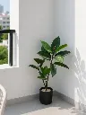 ChatGPT Image May 2, 2026, 12_42_34 PM.webp