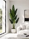 ChatGPT Image May 2, 2026, 01_25_27 PM.webp