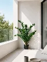 ChatGPT Image May 2, 2026, 01_30_01 PM.webp