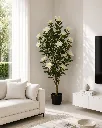 ChatGPT Image May 2, 2026, 01_37_44 PM.webp