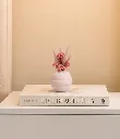 ChatGPT Image May 2, 2026, 05_22_35 PM.webp