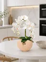 ChatGPT Image May 2, 2026, 08_05_58 PM.webp