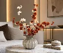 WhatsApp Image 2026-07-20 at 2.13.12 PM.webp
