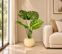 Crackled Ivory Pot with Lush Monstera.png