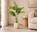 Serene Palm Plant Living Room Corner.png