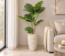 Monstera in Textured Cream Planter.png