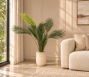 Cozy Palm in Warm Neutral Living Room.png