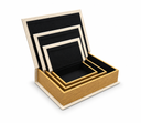 Open Nested Gold-Ribbed Book Organizer.png