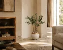 ChatGPT Image Aug 20, 2026, 02_50_41 PM.webp