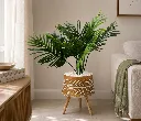 ChatGPT Image Aug 22, 2026, 12_31_35 PM.webp