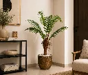 ChatGPT Image Aug 24, 2026, 11_24_24 AM.webp