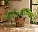 ChatGPT Image Aug 24, 2026, 11_44_52 AM.webp