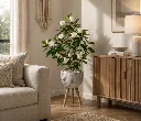 ChatGPT Image Aug 24, 2026, 04_26_15 PM.webp