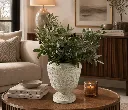ChatGPT Image Aug 24, 2026, 04_32_41 PM.webp