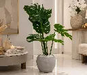 ChatGPT Image Aug 25, 2026, 01_15_21 PM.webp