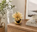 ChatGPT Image Aug 31, 2026, 01_12_47 PM.webp