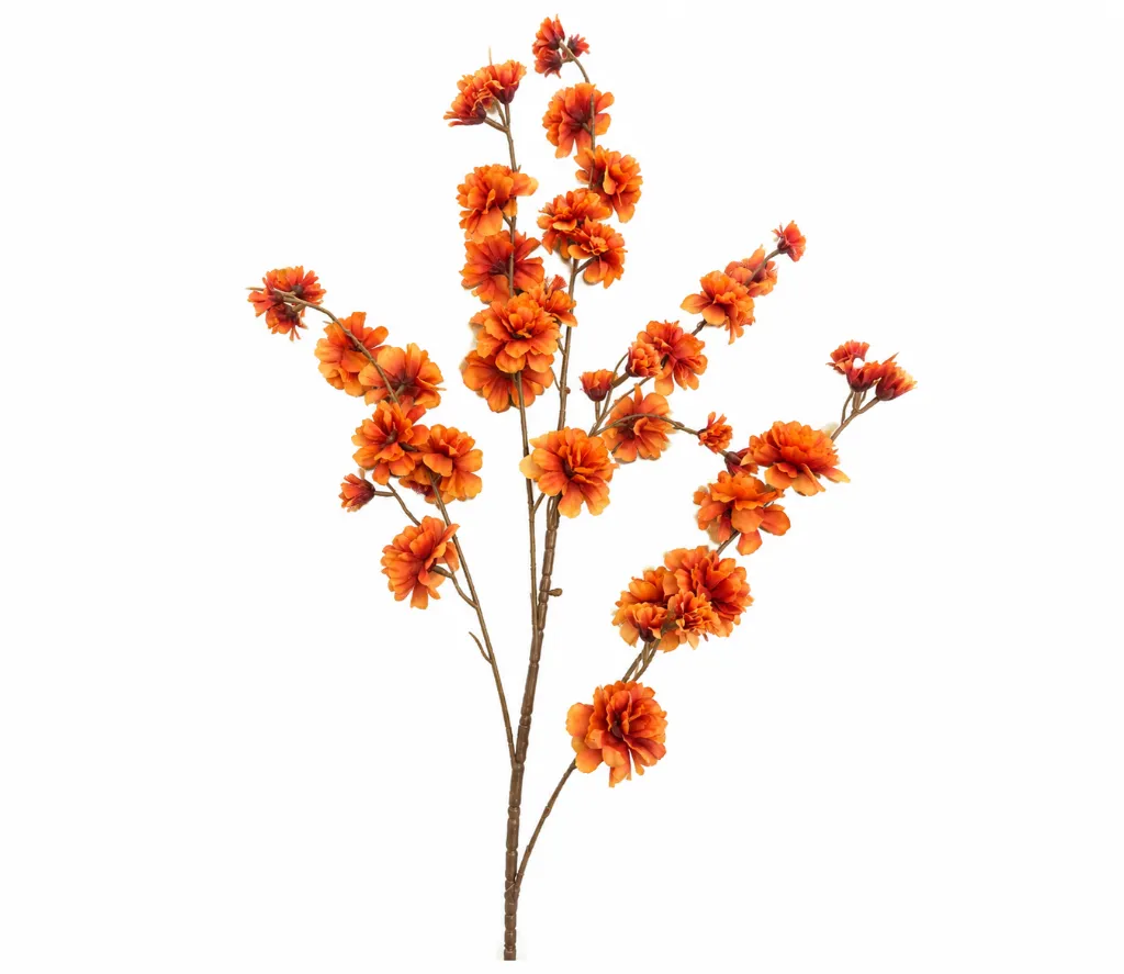 b8df0929-0226-4647-a6f7-5db561b99602.webp