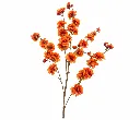 b8df0929-0226-4647-a6f7-5db561b99602.webp